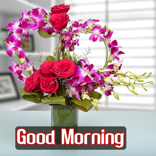 Good Morning Images Photo Download With Flower 