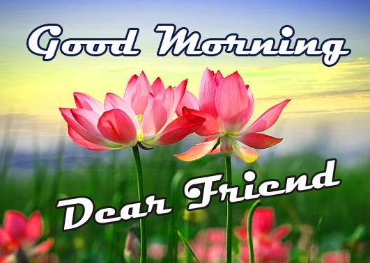 Free Flower Good Morning Images Pic Download 