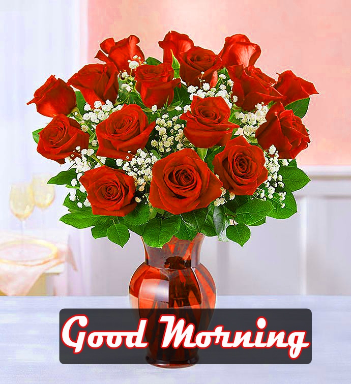 Good Morning Images Photo Download Pics With Red Rose 