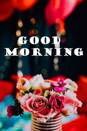 Good Morning Photo HD With Flower