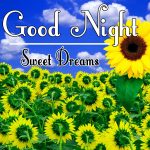 Good Night Wishes Images 38
