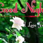 Good Night Wishes Images 99