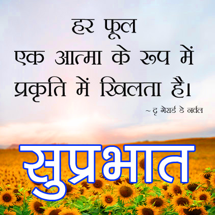 Hindi Good Morning Quotes Images 6