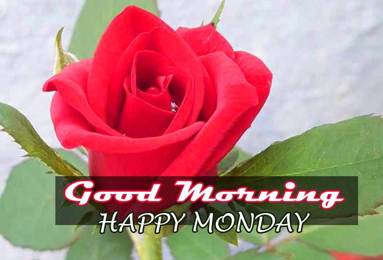 Best Monday Good Morning Images HD