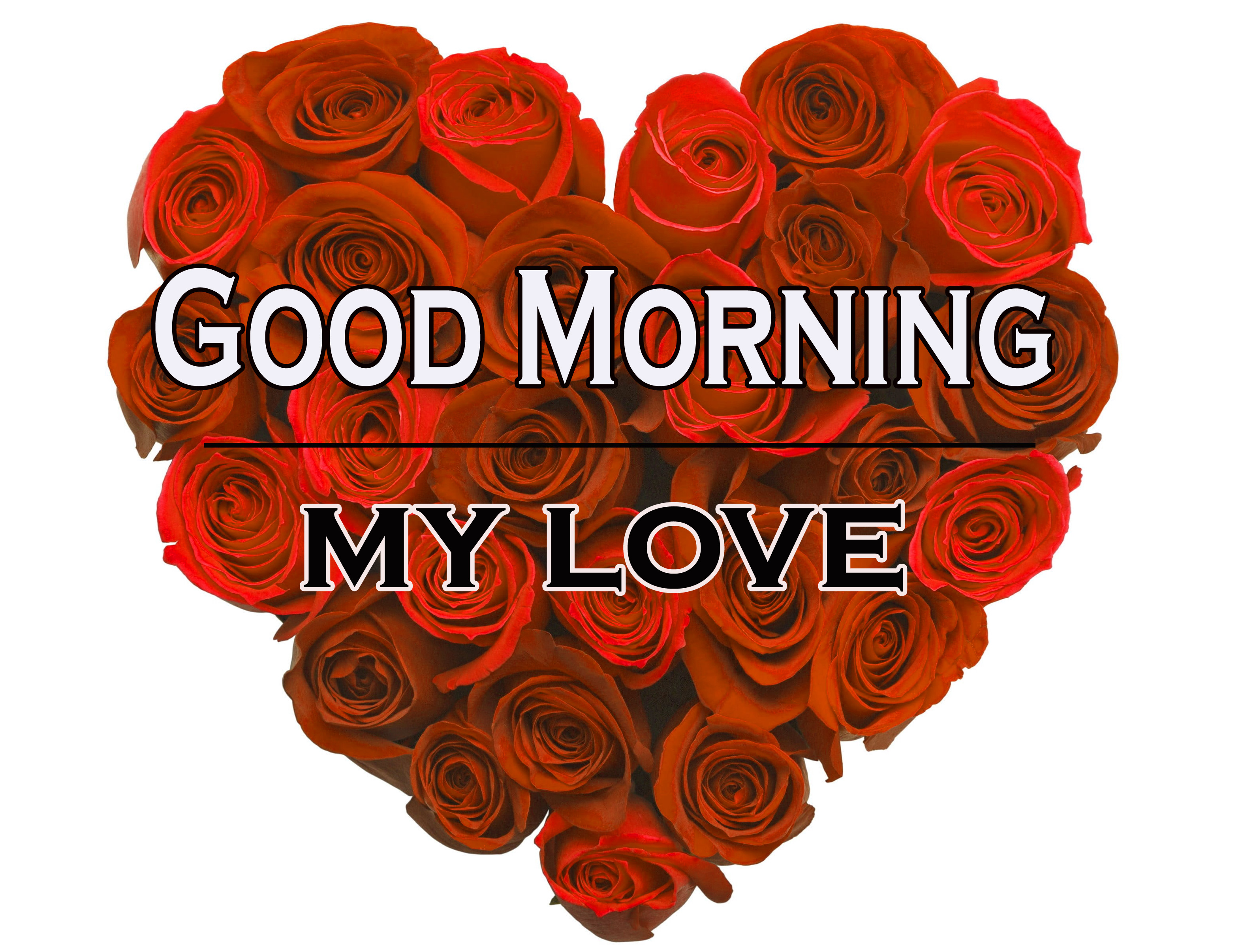 Morning Wishes Images With Red Rose Pics for Whatsapp 