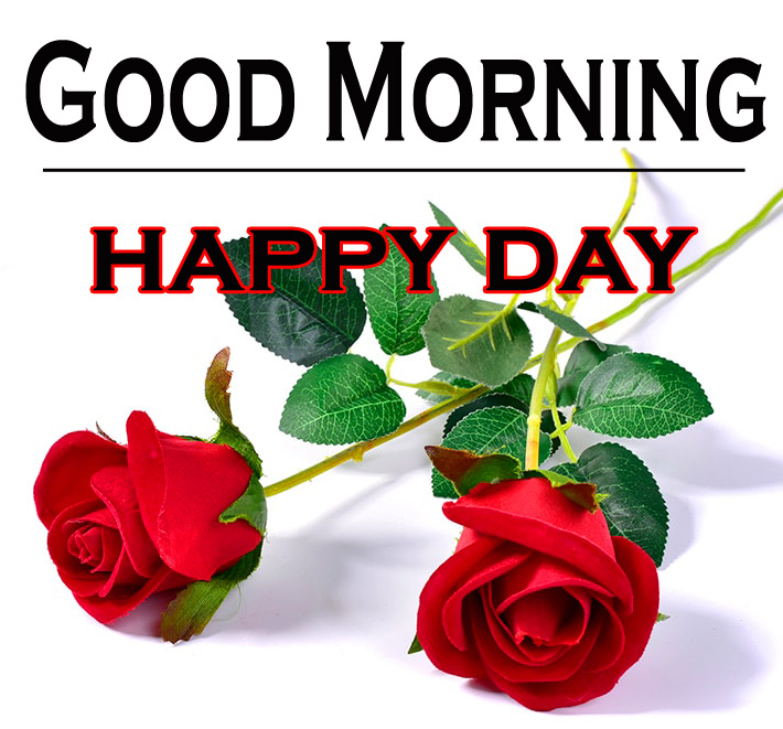 Morning Wishes Images With Red Rose Pics Download 