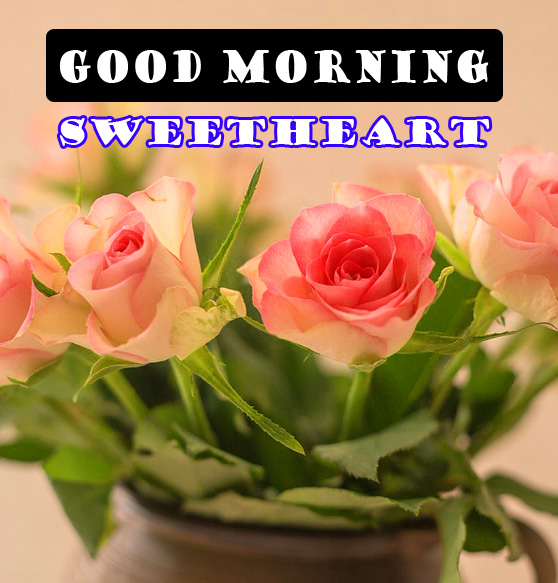 Romantic Good Morning Images Pics Download