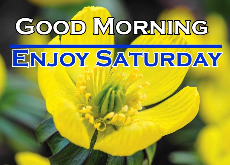New Free Saturday Good Morning Images Pics Download 