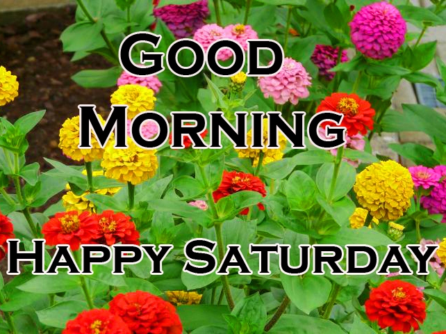 Best Saturday Good Morning Images Pics Download 