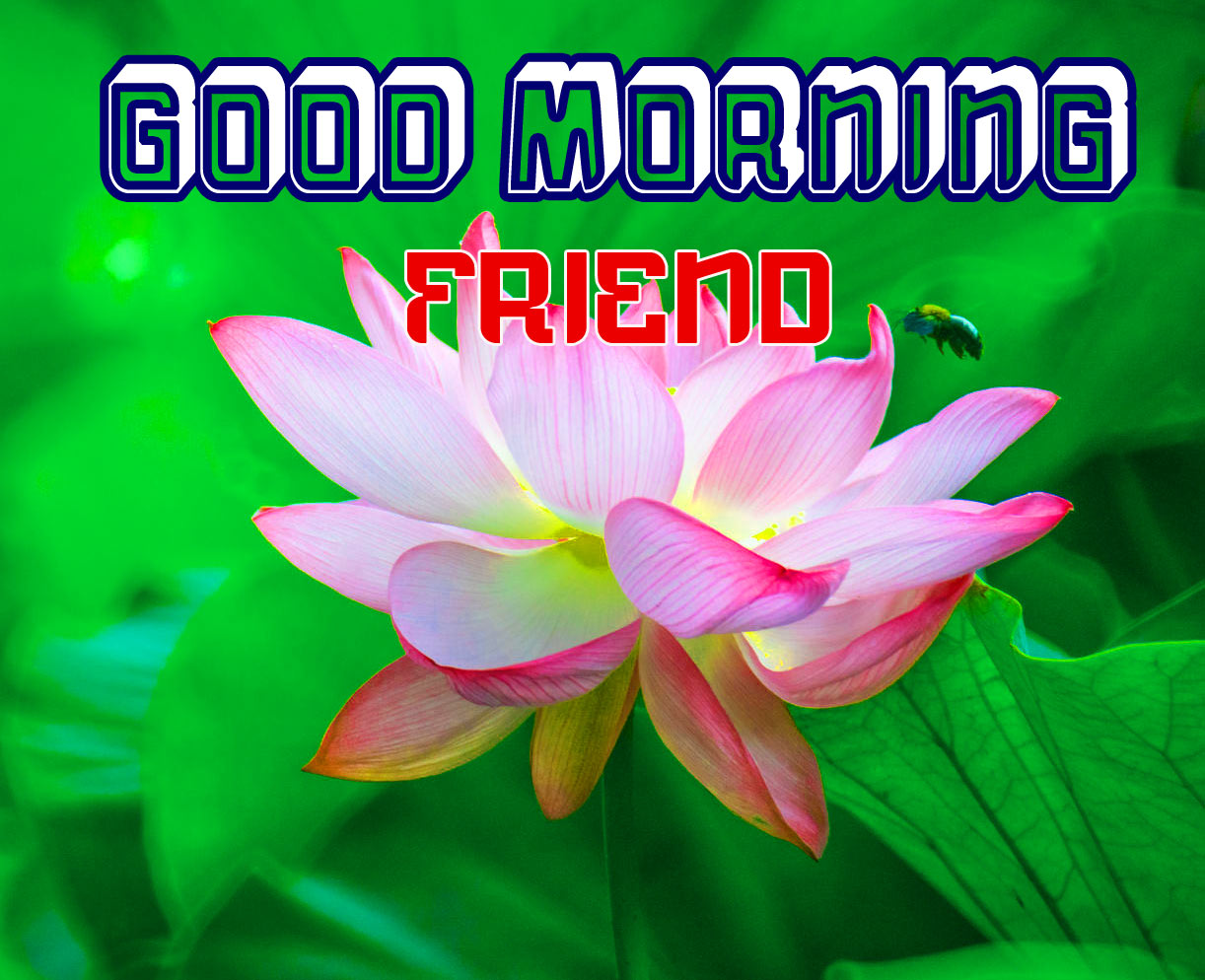 3d Font Flower good morning Images Pics Download 