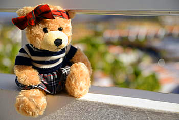 Teddy Bear Images Pics photo Download 