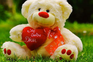 259+ Teddy Bear Images Download