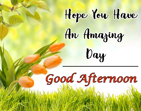 Free Beautiful Good Afternoon Images Wallpaper Download 