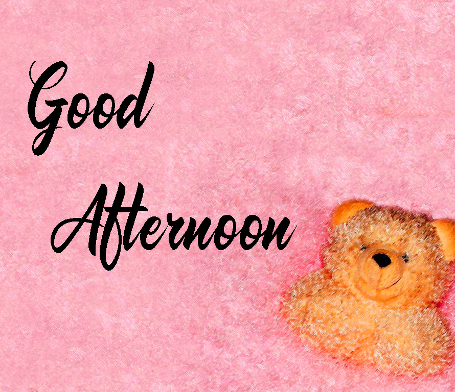 Good Afternoon HD Images Photo Download 