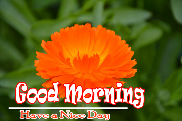 good morning images hd download 