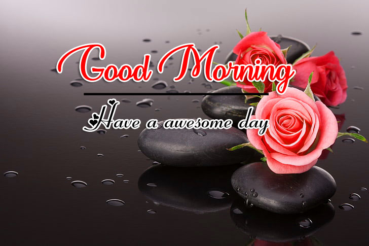 Beautiful Good Morning Download Images