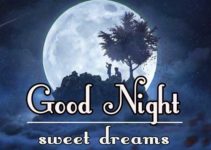 545+ Best Good Night Images Download