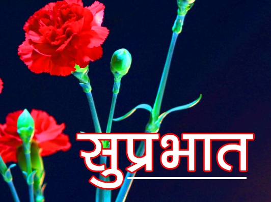 Flower Suprabhat Images Pics Download 