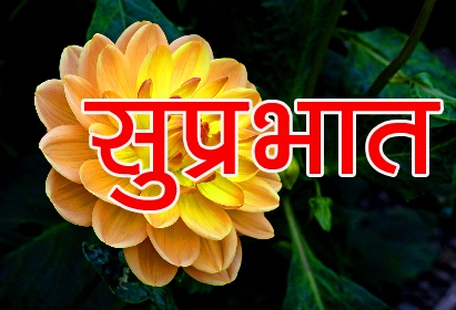 Beautiful Flower Suprabhat Images Wallpaper Free 