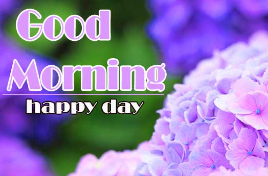 Beautiful Flower 4k Ultra Free good morning Photo Download 