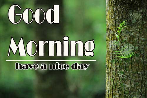 Free good morning Pics Photo for Friend 