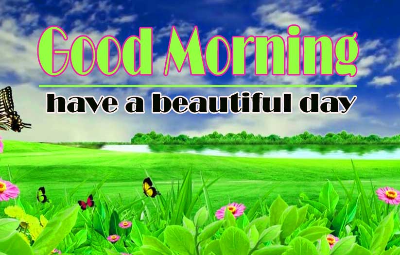 Nature Good Morning Images Pics Download 