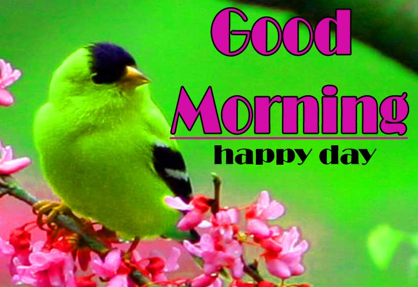 Good Morning Images Pics Download 