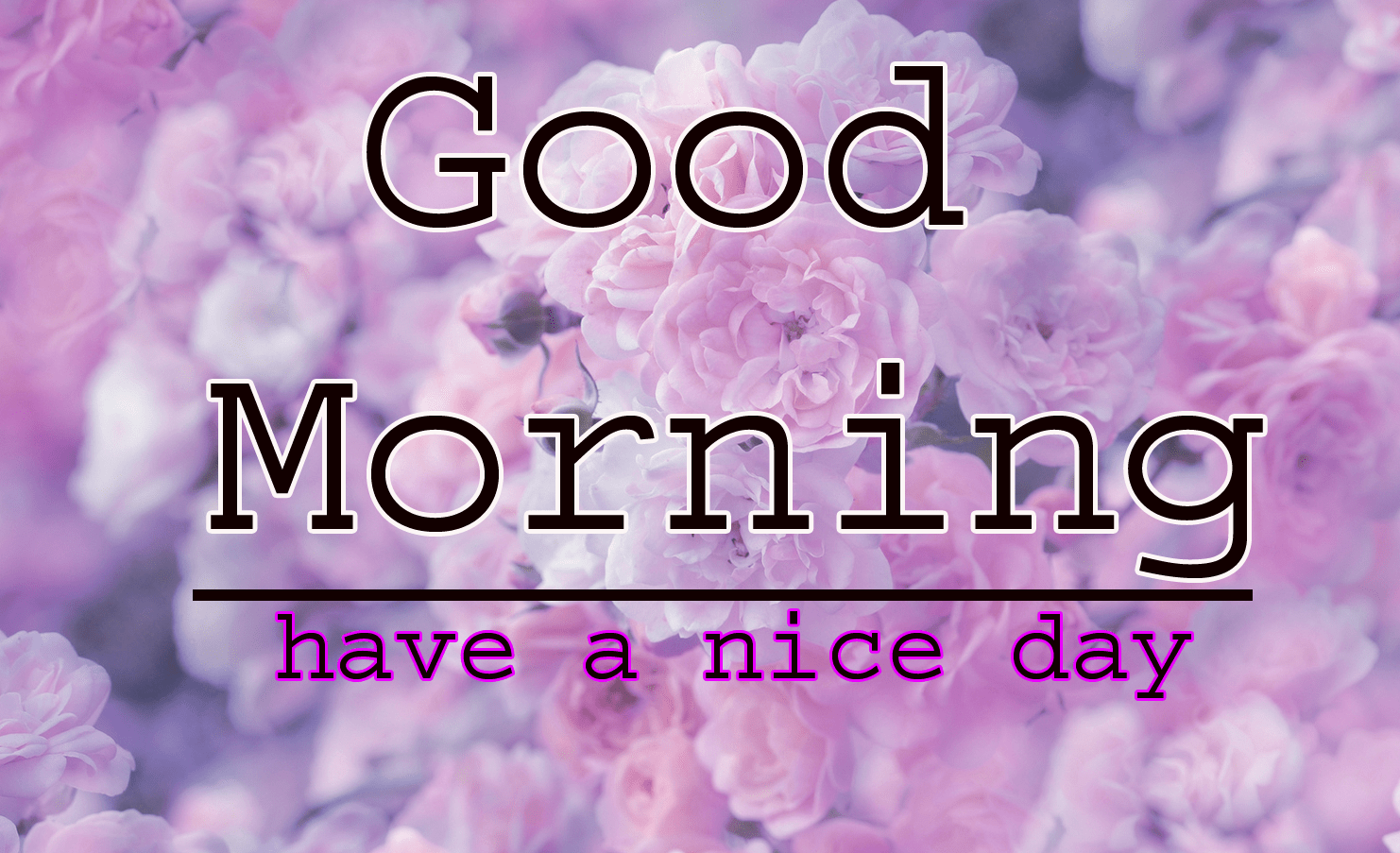 Latest Free Good Morning Images Pics Download 