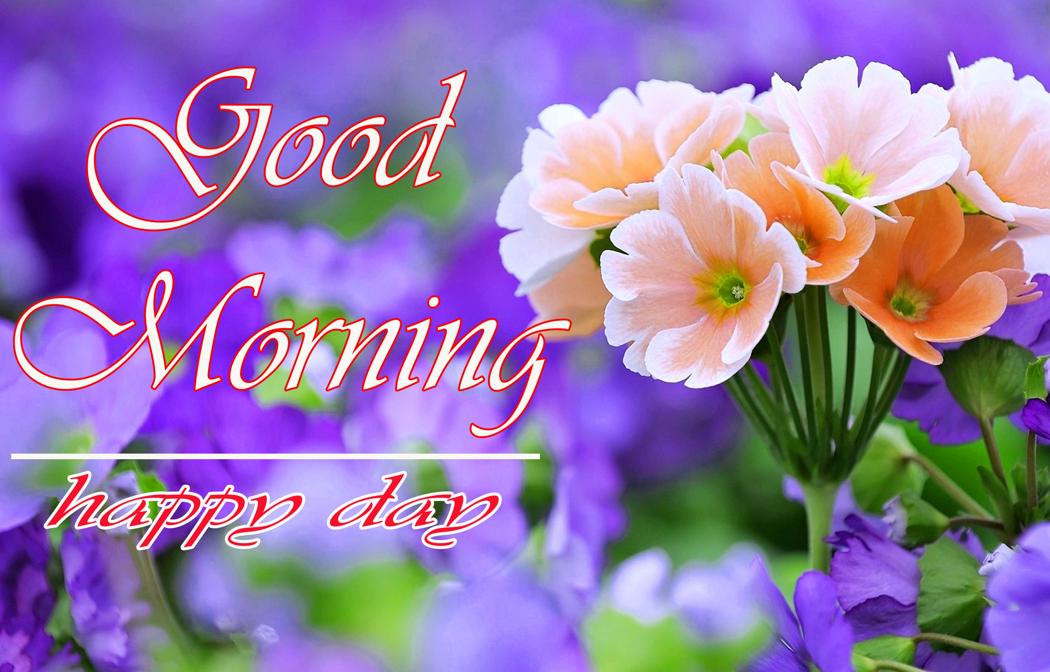 With Flower Good Morning Images pics Download 