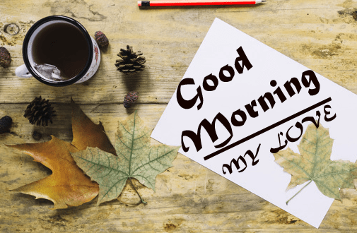 Free Good Morning Images Photo Download 