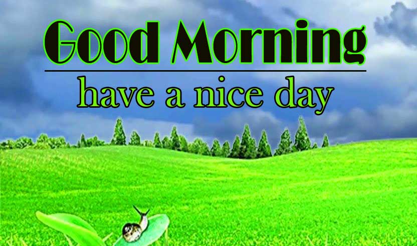 Free Good Morning Images Wallpaper Download 