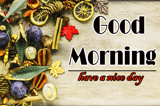 New Free Good Morning Images Pics Download 