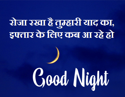 Good Night Images With Hindi Shayari 17