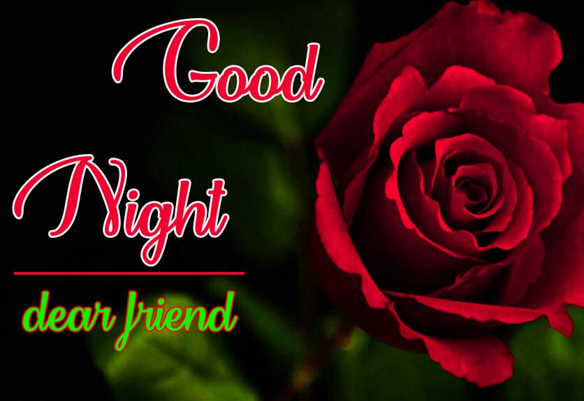 Most Beautiful Good Night Wallpaper With Rose 
