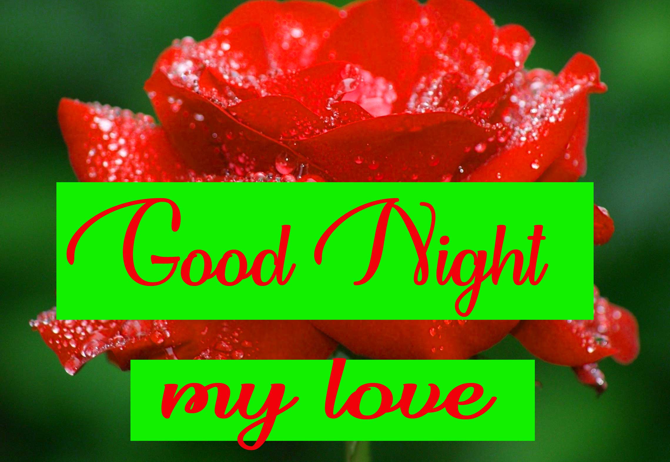 Most Beautiful Good Night Images for Love Couple
