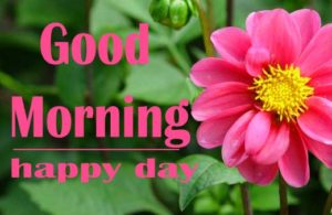 friend good morning Images Wallpaper New Download 