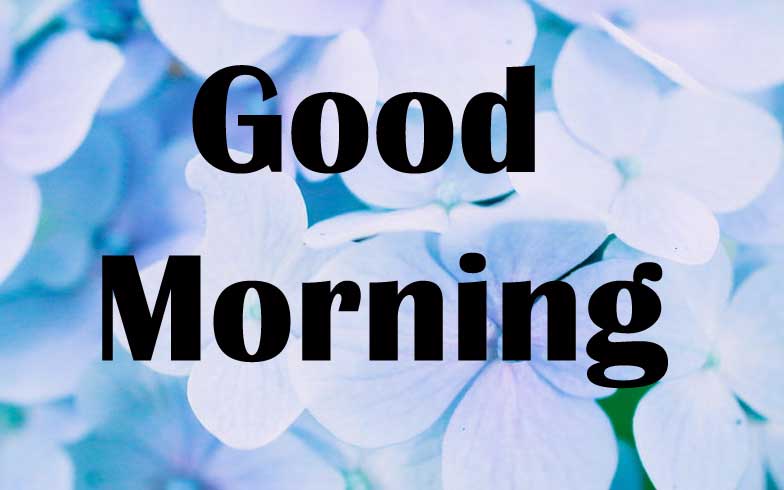 good Morning Pictures Wallpaper for Facebook / Whatsapp