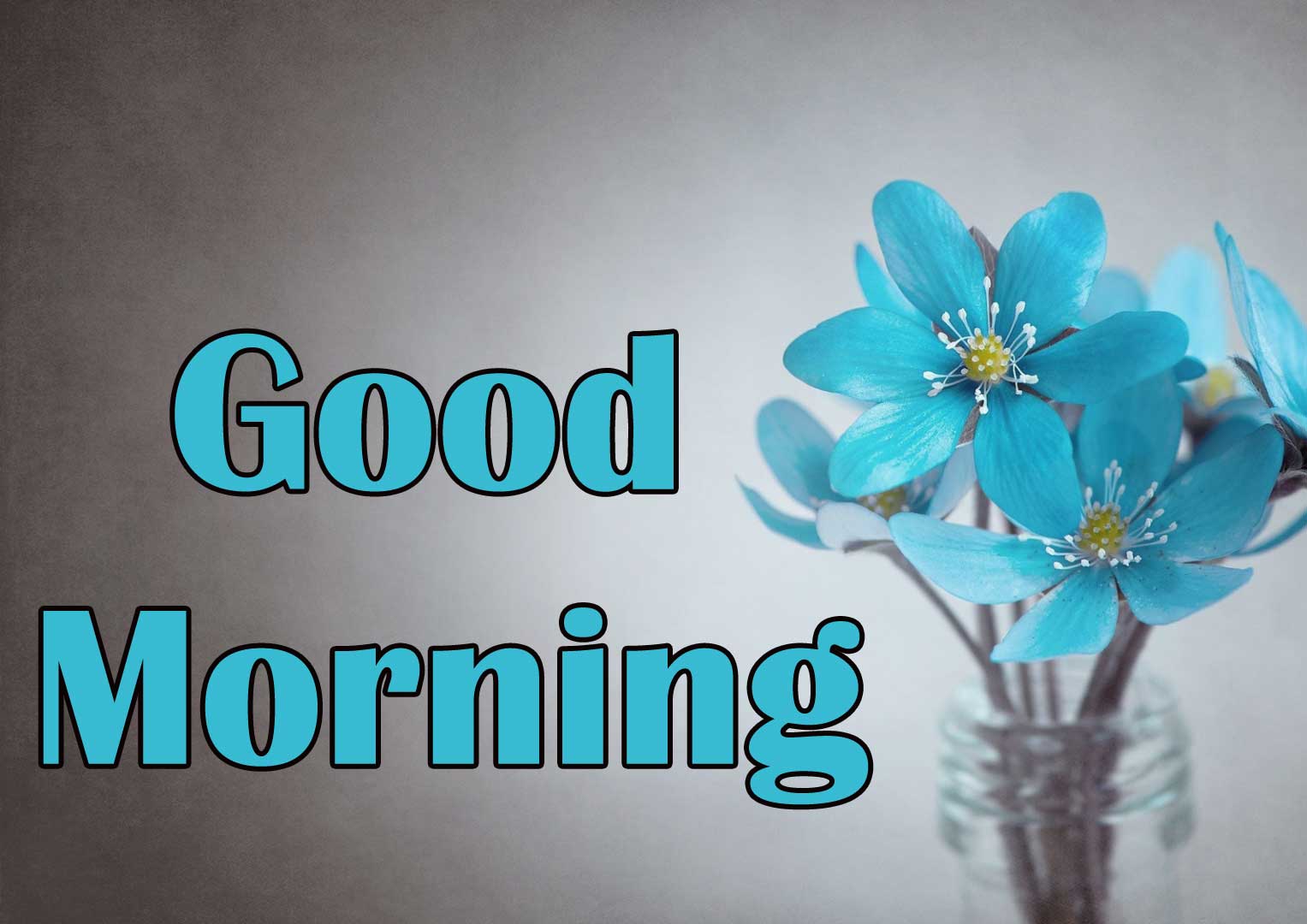 Free good Morning Pictures Pics Download 