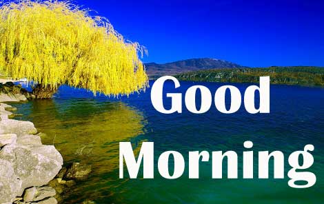 Latest 4k Ultra good Morning Pictures Images Download 