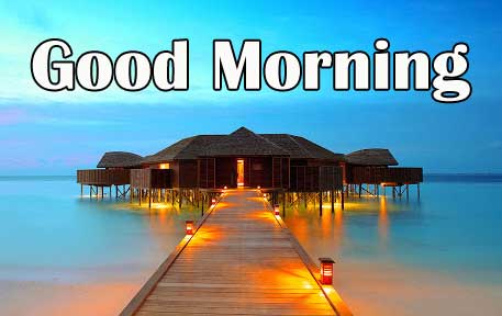 New Free good Morning Pictures Photo Download 