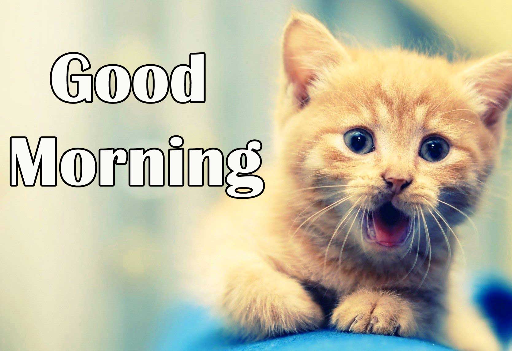 good Morning Pictures Photo Download 
