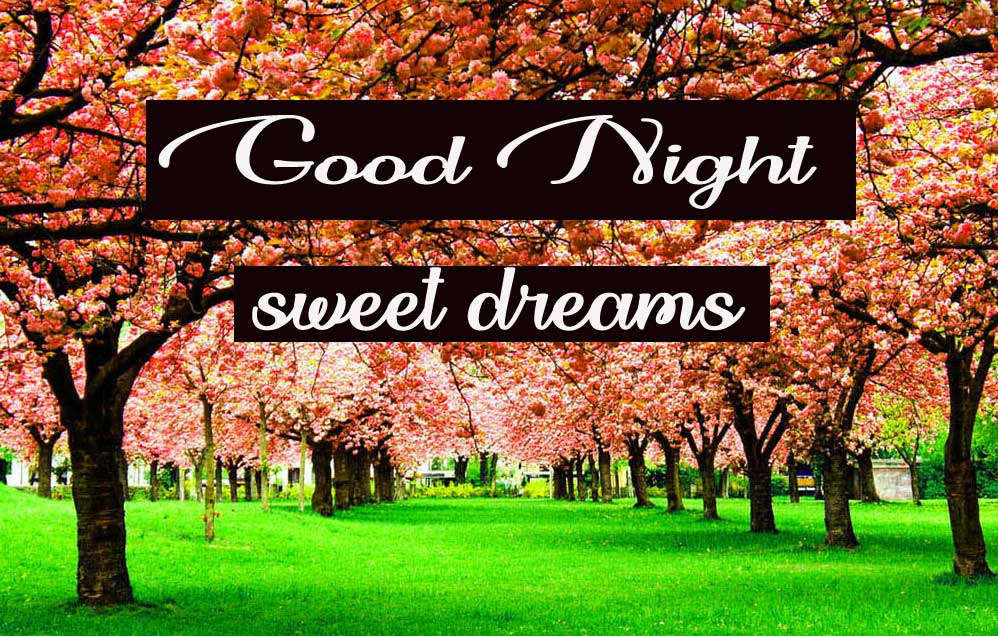 Beautiful good night images Wallpaper With Nature 