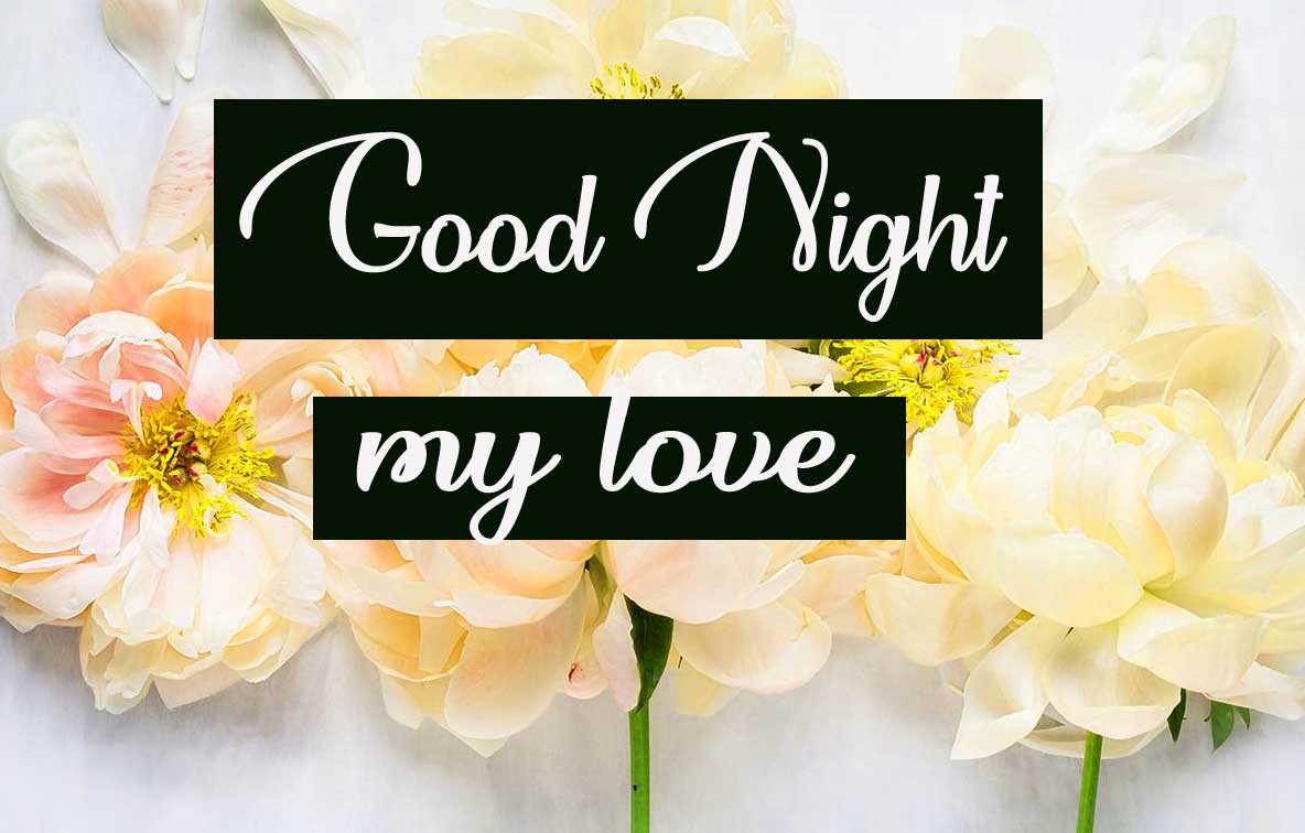Free Best Beautiful good night images Pics Download 