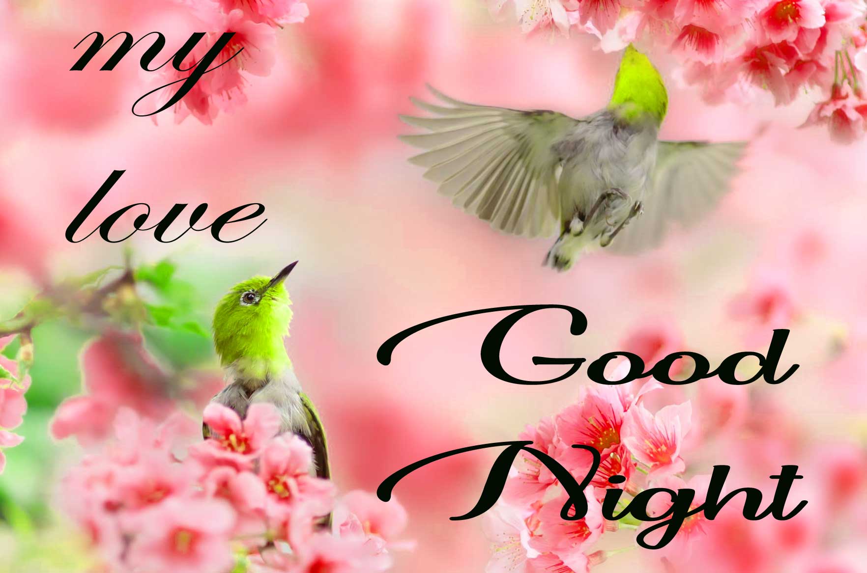 New Free good night images Photo Download 
