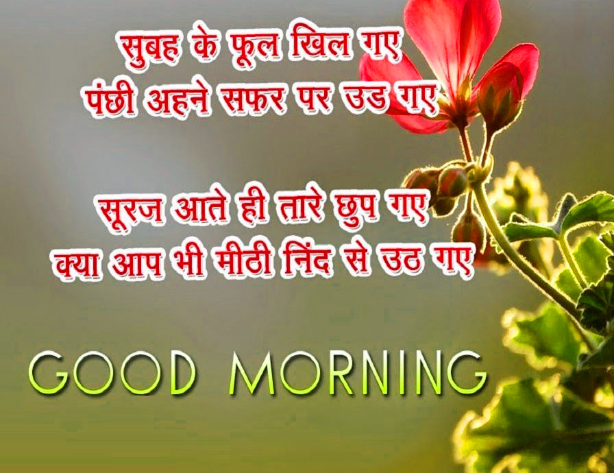 Hindi Quotes Good Morning Images With Flower 