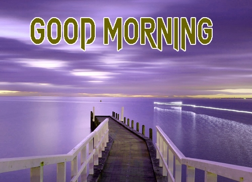 New Free Beautiful Good Morning Pics Images Download 