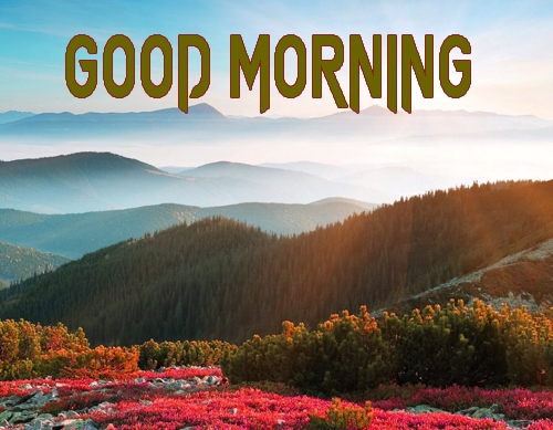 Beautiful Good Morning Pictures Download 