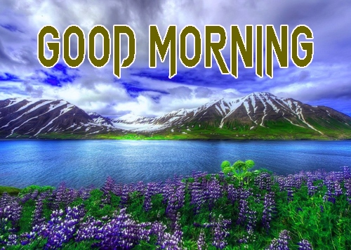 Free Beautiful Good Morning Wallpaper Download 
