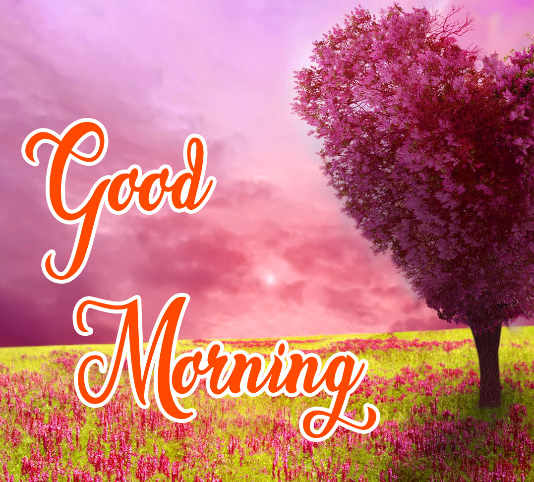 Free Beautiful Nature Good Morning Wallpaper Download 