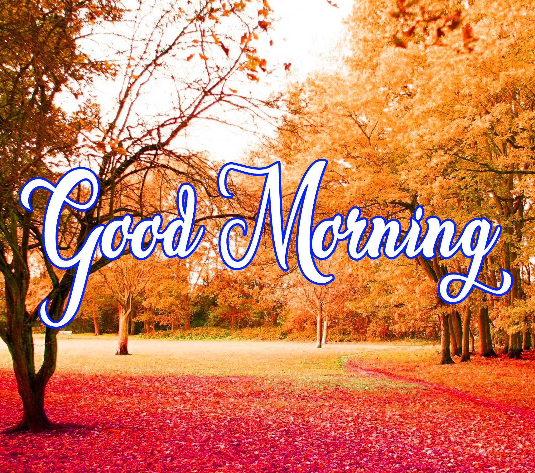 Beautiful Nature Good Morning Wallpaper Download 